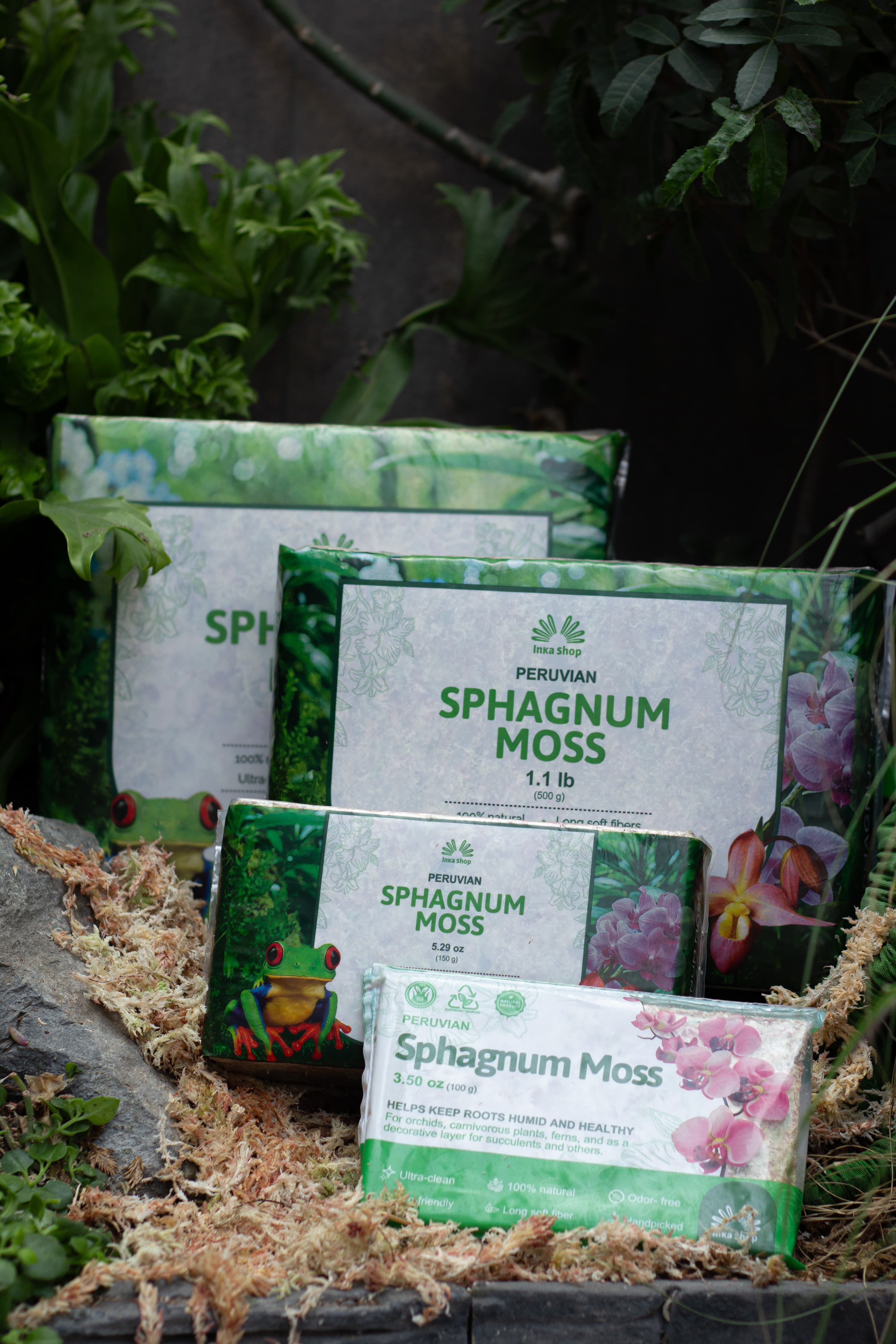 Sphagnum Moss