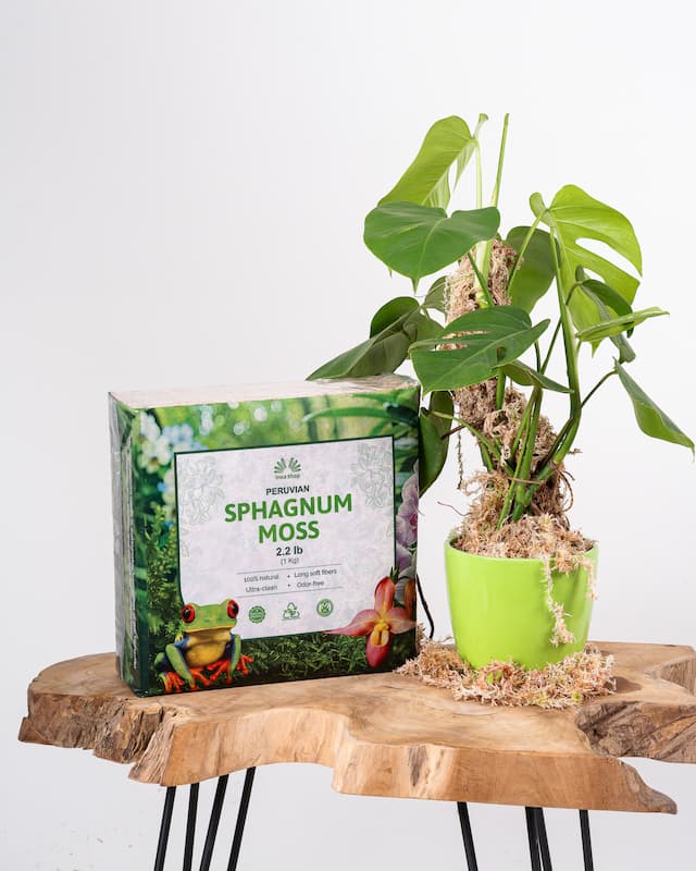 2.2 lb Peruvian Sphagnum Moss